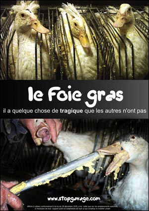 프랑스에서 활동하는 푸아그라 반대 단체 '푸아그라 폐지 선언'의 포스터(출처: www.stopgavage.com).